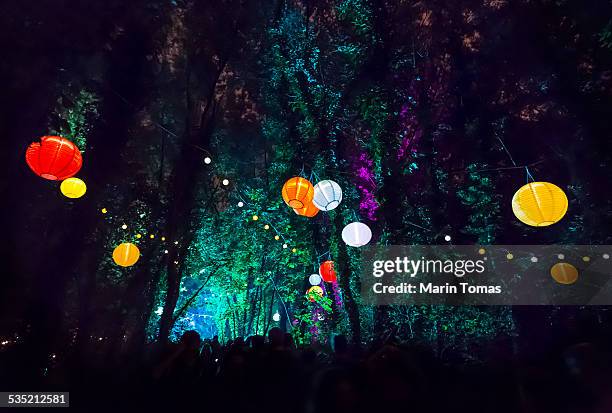 forest party - party lights stockfoto's en -beelden