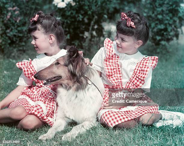 Twin 7 year old girls sitting on the floor with their collie dog in front of christmas tree, Los Angeles, California, 1950s.