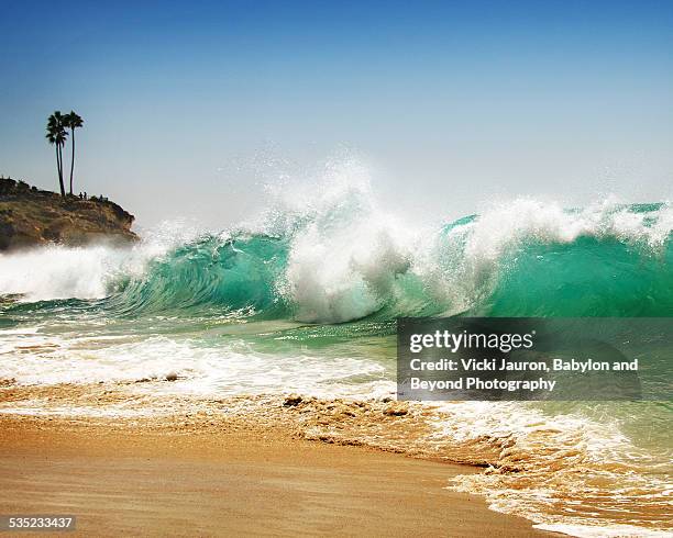 waves, cliff and palm trees at laguna beach - laguna beach california stockfoto's en -beelden