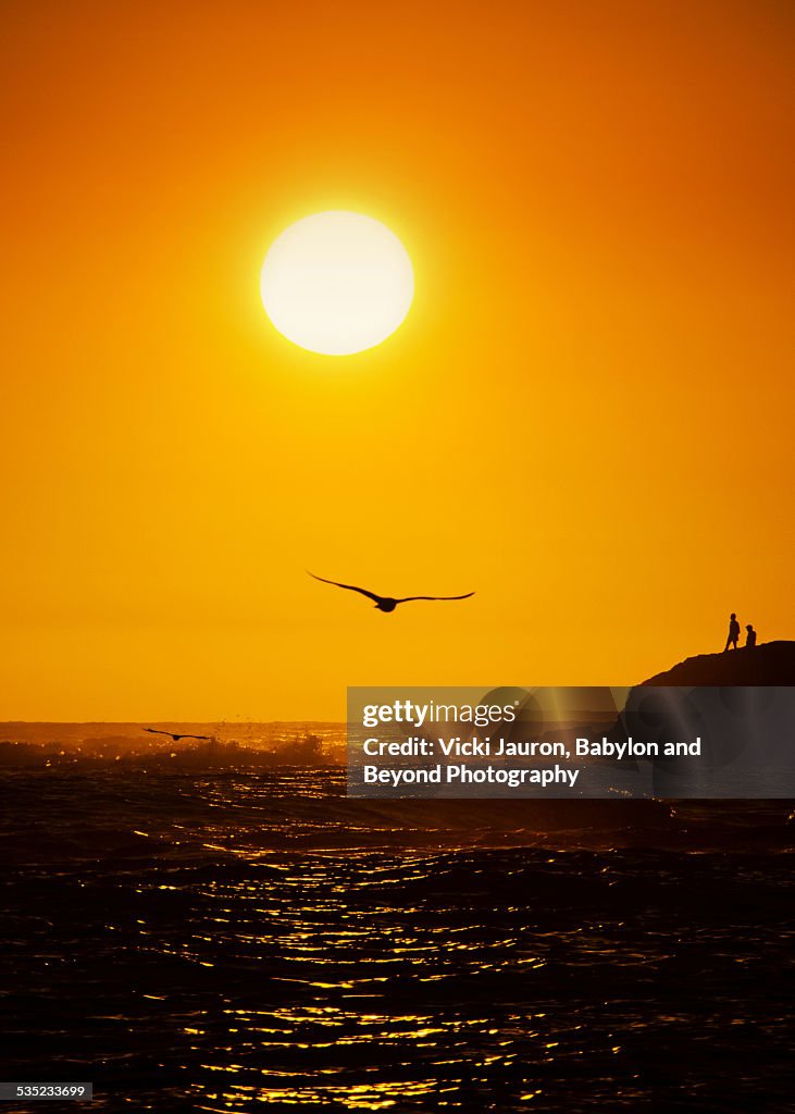 Golden Sunset Silhouette - People, Waves, Gulls