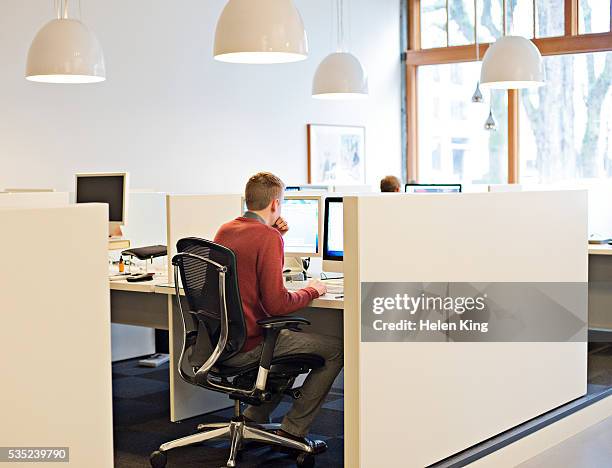 man concentrating on computer screen - cubicle stockfoto's en -beelden