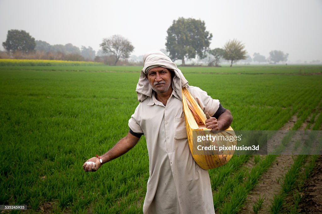 Agricultor trabalhar no campo