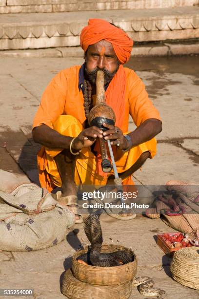 snake charmer performing in varanasi at the ganges river in uttar pradesh, india. - snakes beard stock pictures, royalty-free photos & images