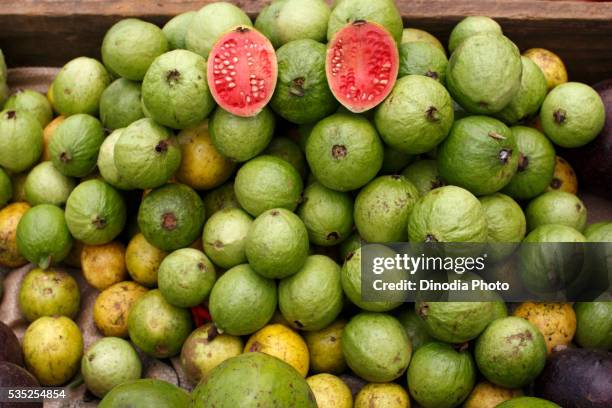 guavas for sale. - guave stockfoto's en -beelden