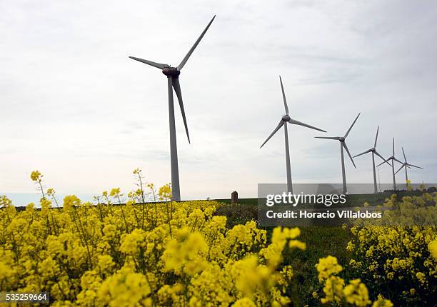 Wind Farm along route D925 near Saint-Valery-en-Caux in the Seine-Maritime department in the Haute-Normandie region, northern France, 29 May 2013....