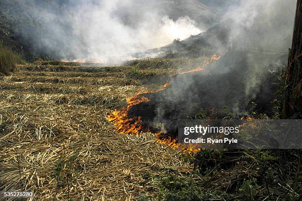 Farmers burn their crops to re-generate nutriants in the soil in China's Xishuangbanna region. In the 1940's and 1950's China's Xishuangbanna region...