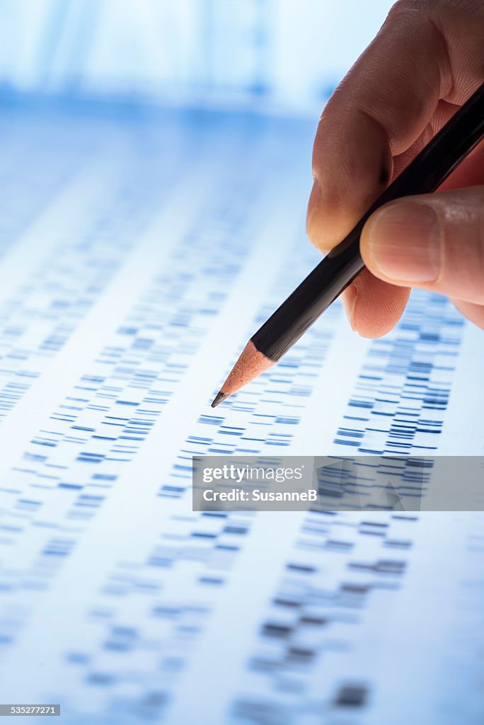 Interpreting DNA gel