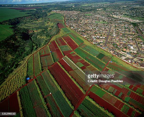 Thriving suburb crowds the edge of cultivated farmland at Miliani on the island of Oahu, Hawaii.