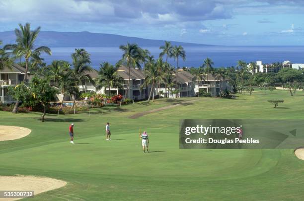 golfer putting on green of golf course - wailea imagens e fotografias de stock