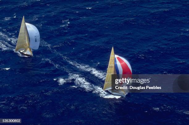 spinnakered sailboats in 1992 kenwood cup sailing regatta - spinnaker stockfoto's en -beelden