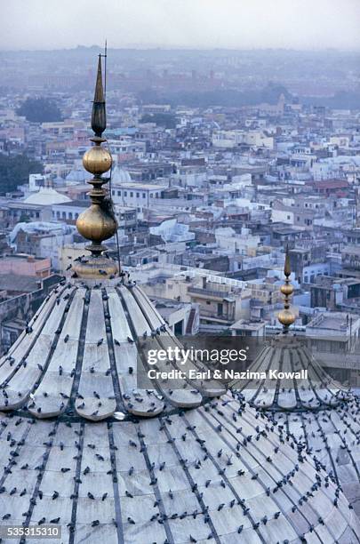 roof of jain temple in old delhi - jain temple - fotografias e filmes do acervo