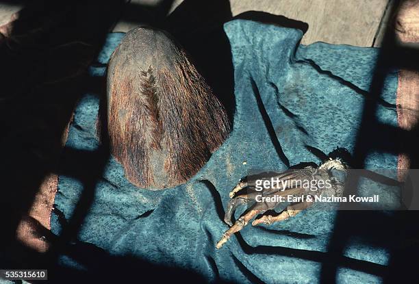 alleged yeti scalp and hand - yeti stock pictures, royalty-free photos & images