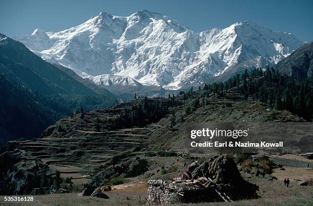 nanga parbat and valley - nanga parbat stock pictures, royalty-free photos & images