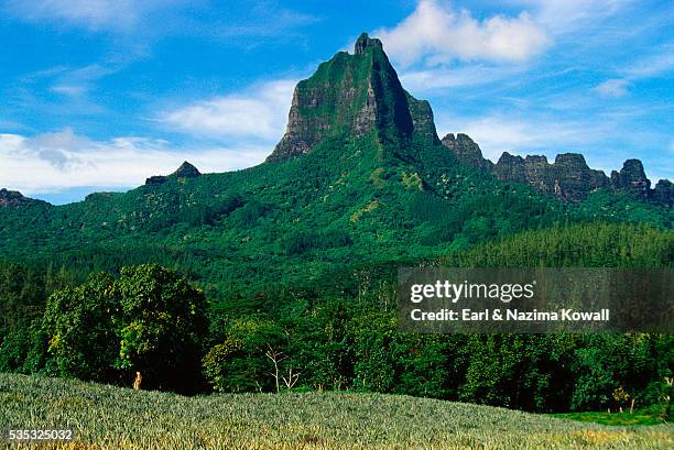 Moua Roa Mount Mouaroa Photos and Premium High Res Pictures - Getty Images