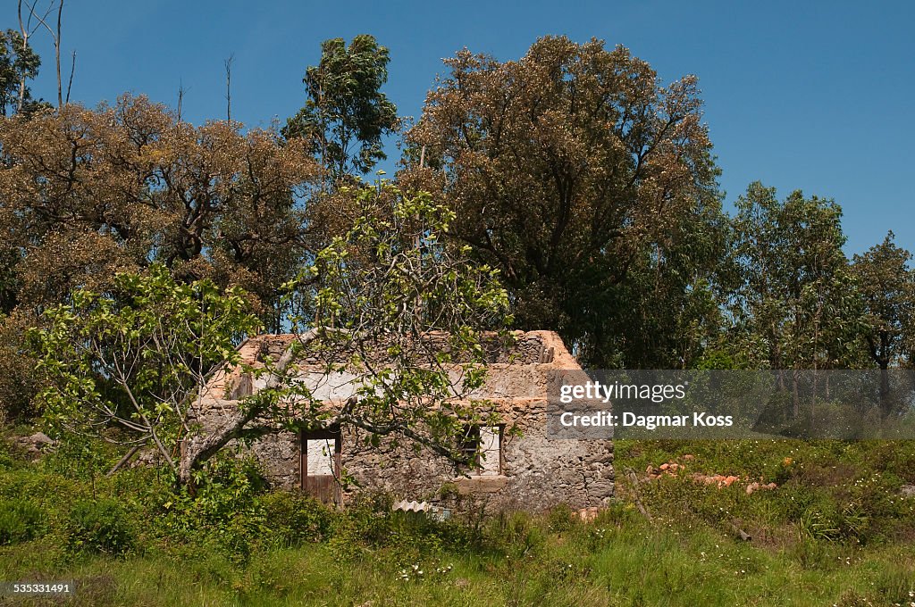 Former Portuguese farmhouse ruin