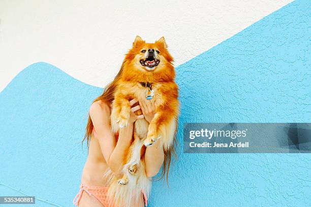 woman wearing bikini hiding behind her dog - pants down woman 個照片及圖片檔