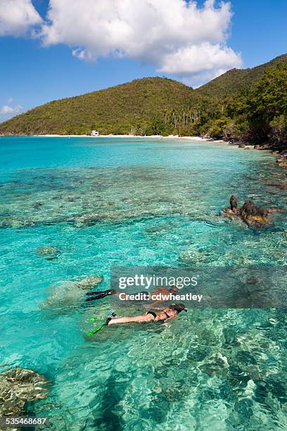 honeymoon couple snorkeling in the caribbean crystal clear waters - us virgin islands stock pictures, royalty-free photos & images