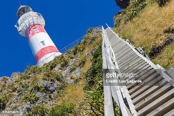 cape palliser lighthouse in new zealand - loic lagarde photos et images de collection