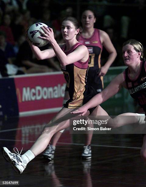 Vectorious Edwards 43 Waikato Bop Magic Stock Photos, High-Res Pictures, and Images ...