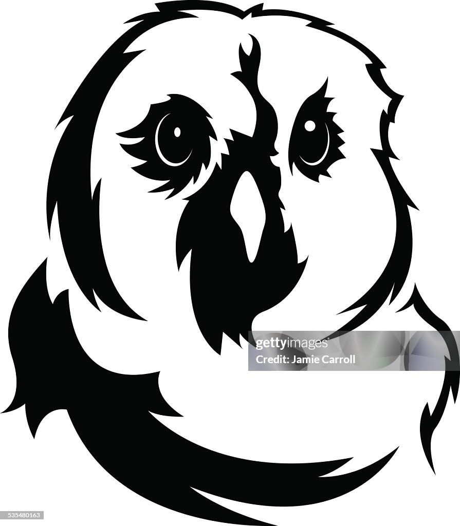 Owl head illustration