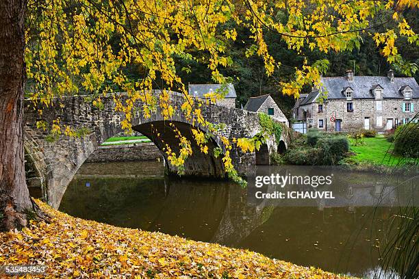 autumn colours brittany - cotes d'armor bildbanksfoton och bilder