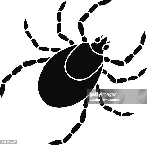 287 Ticks Bug Vector High Res Illustrations - Getty Images