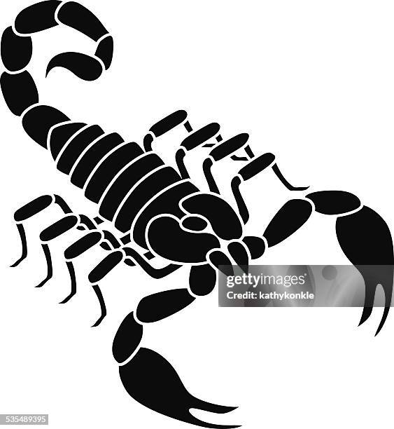 vector scorpion in black and white - scorpions stock illustrations