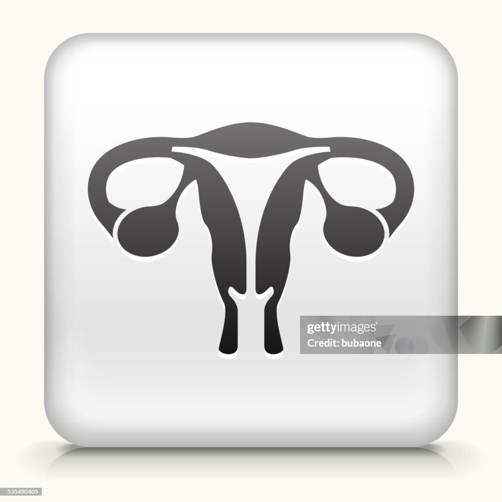 Square Button with woman Reproductive System