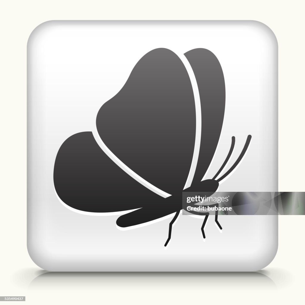 Square Button with Butterfly royalty free vector art