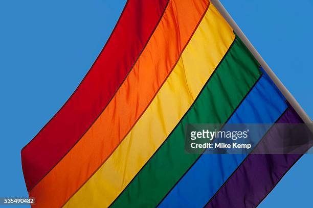 Rainbow flag at the Pride London gay and lesbian parade through central London. Pride London aims to promote equality and diversity through all of...