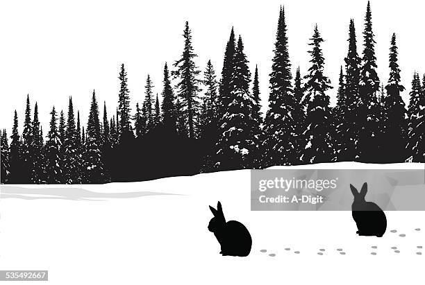 hares - lagomorphs stock illustrations