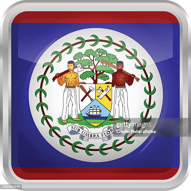 glossy button - flag of belize - belize flag stock illustrations