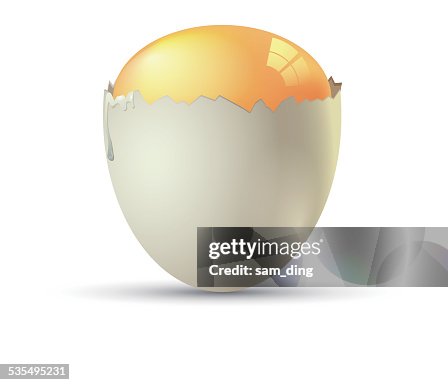 Vector eggs Vector eggs