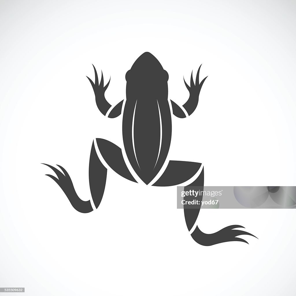 Vector Files Frog Vector Image Of A Frog Design High-Res Vector Graphic - Getty Images