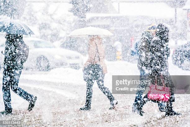 fußgänger überqueren sie die straße auf einem verschneiten tag - blizzard stock-fotos und bilder