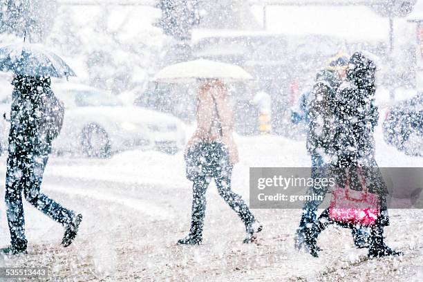 pedestrians crossing the street on a snowy day - snow stock pictures, royalty-free photos & images