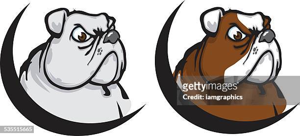 bulldogge maskottchen - grantig stock-grafiken, -clipart, -cartoons und -symbole
