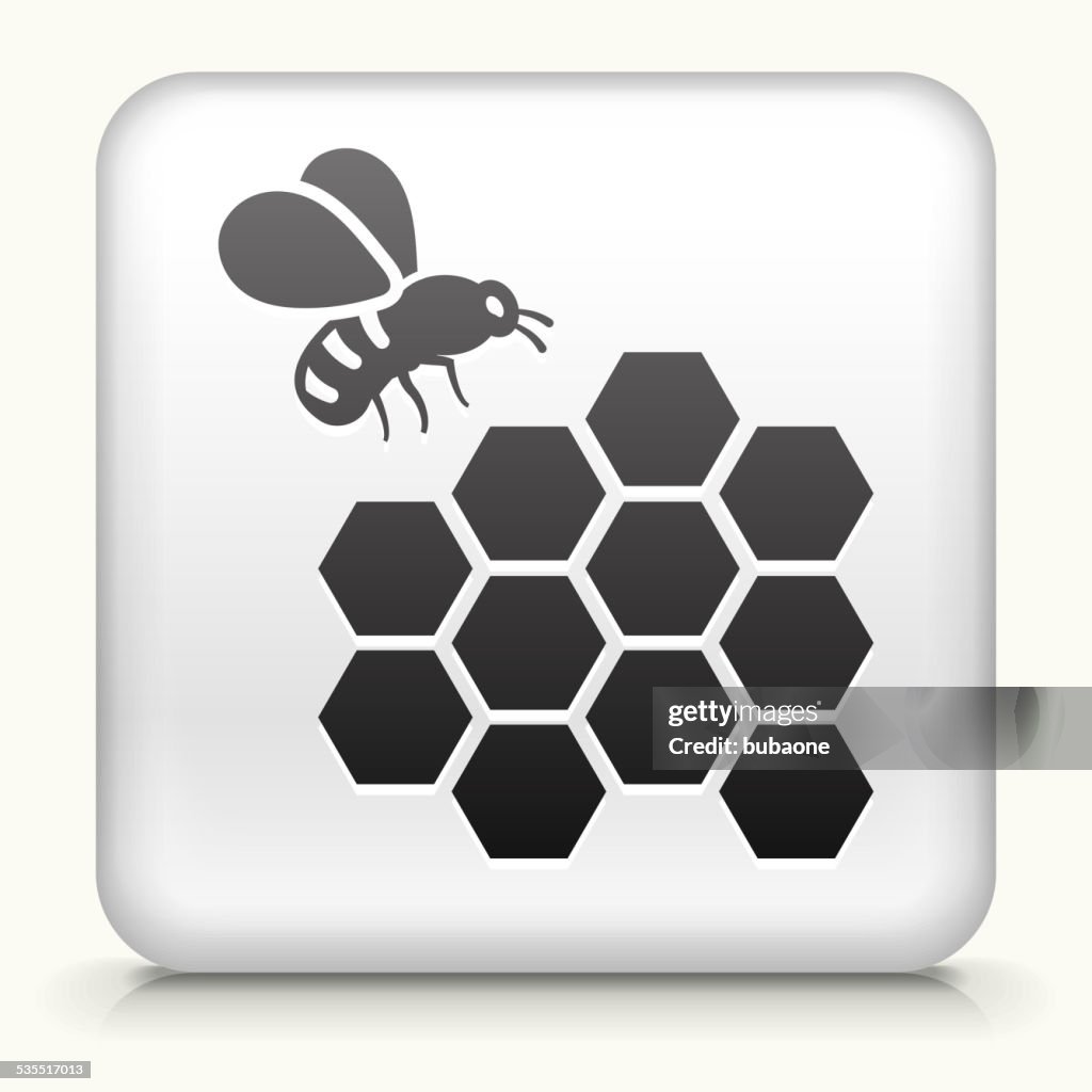 Square Button with Bee royalty free vector art