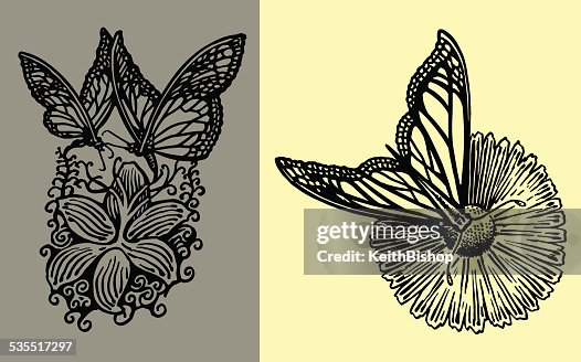 Spring Butterfly Designs Spring Butterfly Designs
