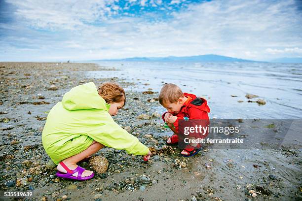 kinder zahlen im rathrevor beach in vancouver island - ebbe stock-fotos und bilder