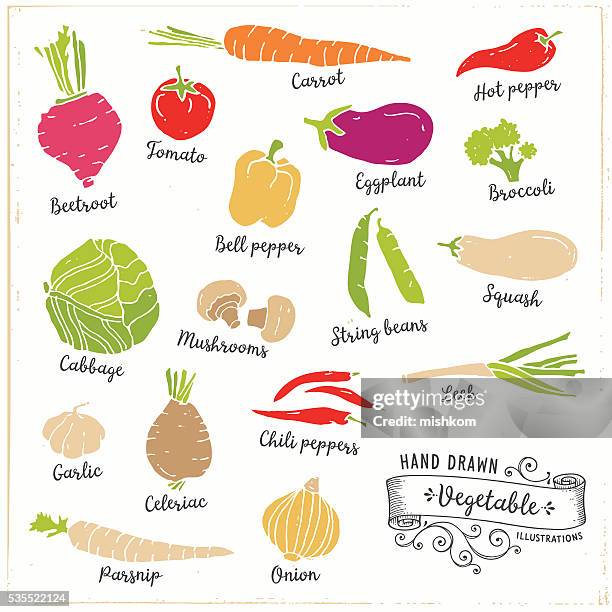 hand drawn gemüse - knollensellerie stock-grafiken, -clipart, -cartoons und -symbole