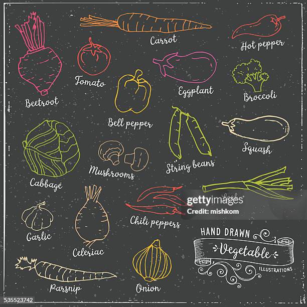 hand drawn gemüse - knollensellerie stock-grafiken, -clipart, -cartoons und -symbole
