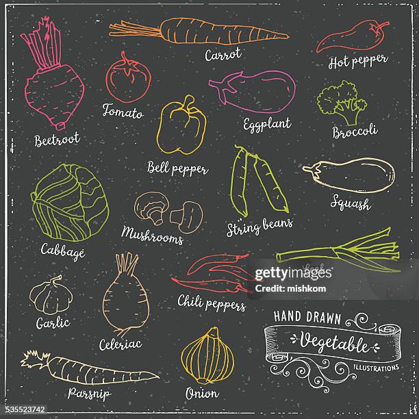 stockillustraties, clipart, cartoons en iconen met hand drawn vegetables - knolselderij