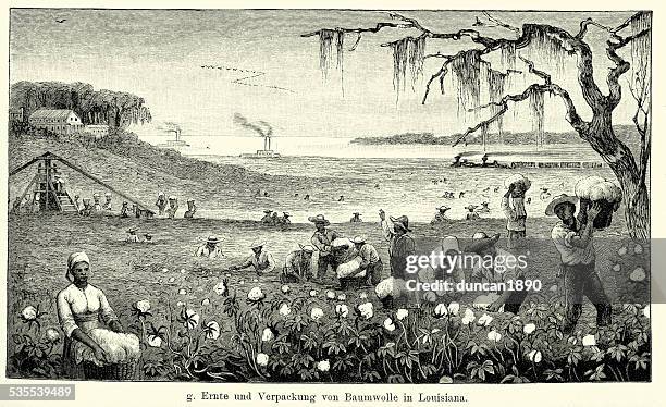 ilustraciones, imágenes clip art, dibujos animados e iconos de stock de 19 th century north america-recolección de algodón en louisiana - esclavitud