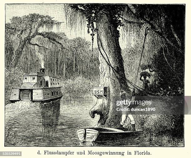 19th century north america - riverboat in florida - florida swamp stock illustrations