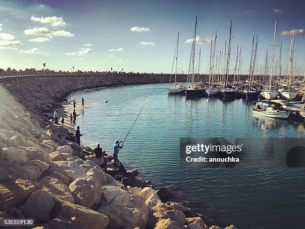 menschen angeln im herzliya marina, tel aviv, israel - herzliya marina stock-fotos und bilder