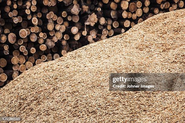 Pile Of Lumber High-Res Stock Photo