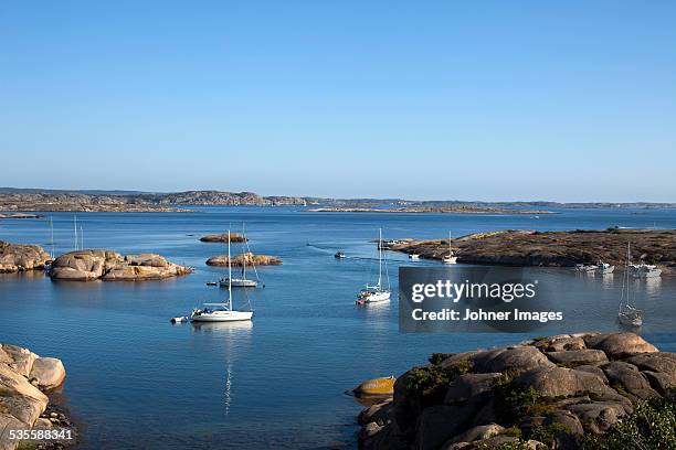 yachts at bay - sweden archipelago stock pictures, royalty-free photos & images