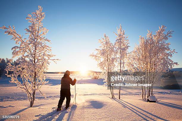 person skiing - swedish lapland bildbanksfoton och bilder