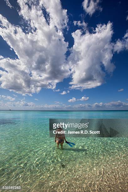snorkeler at beach in cozumel - cozumel stock pictures, royalty-free photos & images
